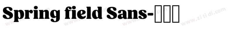 Spring field Sans字体转换